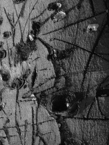 Fotografia de Juy - Galeria Fotografica: + - Foto: 