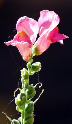 Fotografia de yuval - Galeria Fotografica: expo - Foto: holyfax