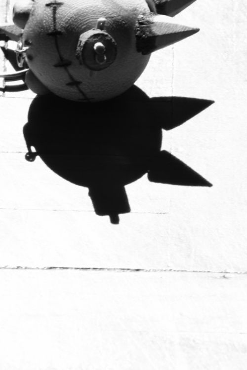 Fotografia de karoln - Galeria Fotografica: crest - Foto: 