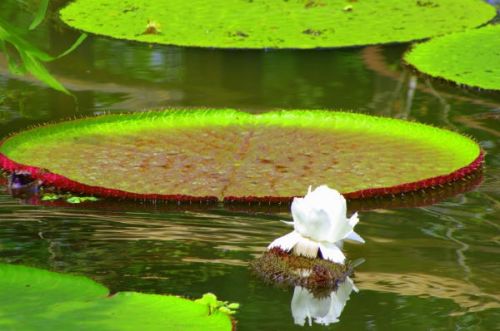 Fotografia de FOTOCLUB JM  IMAGE WEB - Galeria Fotografica: FOTOCLUB JM IMAGE WEB COLOMBIA - Foto: 