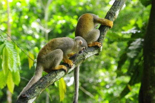 Fotografia de FOTOCLUB JM  IMAGE WEB - Galeria Fotografica: FOTOCLUB JM IMAGE WEB COLOMBIA - Foto: 