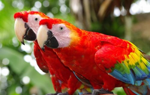 Fotografia de FOTOCLUB JM  IMAGE WEB - Galeria Fotografica: FOTOCLUB JM IMAGE WEB COLOMBIA - Foto: 