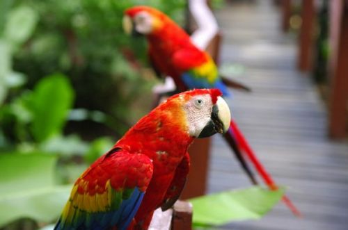 Fotografia de FOTOCLUB JM  IMAGE WEB - Galeria Fotografica: FOTOCLUB JM IMAGE WEB COLOMBIA - Foto: 