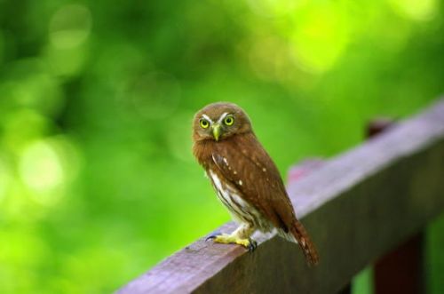 Fotografia de FOTOCLUB JM  IMAGE WEB - Galeria Fotografica: FOTOCLUB JM IMAGE WEB COLOMBIA - Foto: 