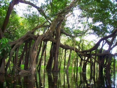 Fotografia de FOTOCLUB JM  IMAGE WEB - Galeria Fotografica: FOTOCLUB JM IMAGE WEB COLOMBIA - Foto: 