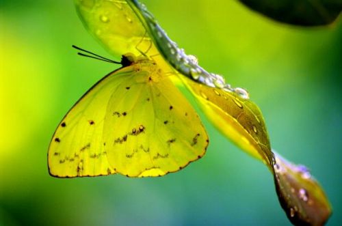 Fotografia de FOTOCLUB JM  IMAGE WEB - Galeria Fotografica: FOTOCLUB JM IMAGE WEB COLOMBIA - Foto: 