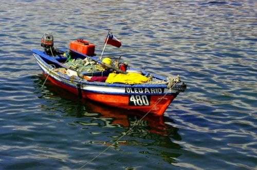 Fotografia de FOTOCLUB JM  IMAGE WEB - Galeria Fotografica: FOTOCLUB JM IMAGE WEB COLOMBIA - Foto: 