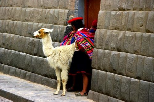 Fotografia de FOTOCLUB JM  IMAGE WEB - Galeria Fotografica: FOTOCLUB JM IMAGE WEB COLOMBIA - Foto: 