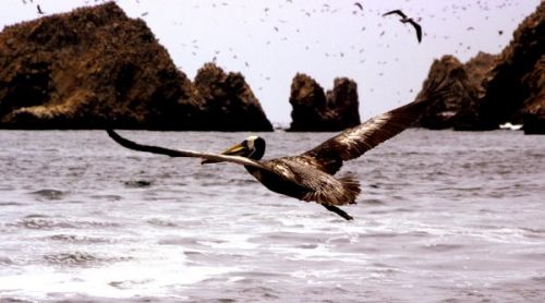 Fotografia de FOTOCLUB JM  IMAGE WEB - Galeria Fotografica: FOTOCLUB JM IMAGE WEB COLOMBIA - Foto: 