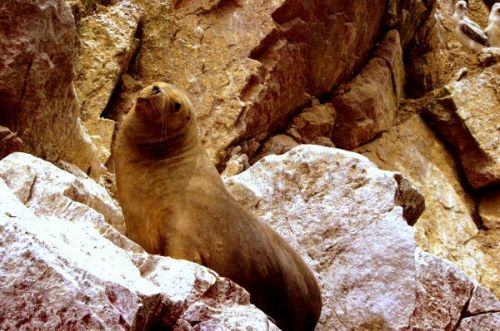 Fotografia de FOTOCLUB JM  IMAGE WEB - Galeria Fotografica: FOTOCLUB JM IMAGE WEB COLOMBIA - Foto: 