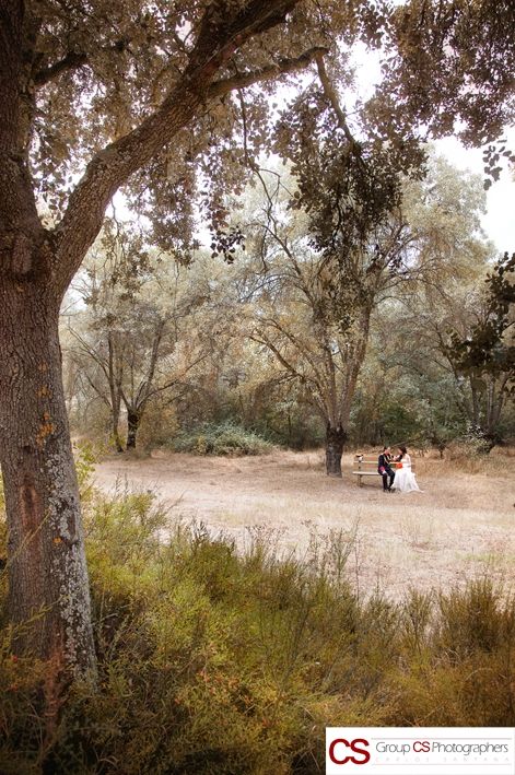 Fotografia de Group CS Photographers - Galeria Fotografica: Boda - Foto: 