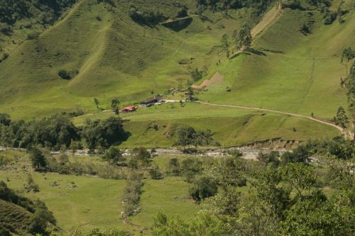 Fotografia de Arte fotografico - Galeria Fotografica: Valle del cocora Quindio, Colombia - Foto: 