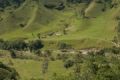Fotos de Arte fotografico -  Foto: Valle del cocora Quindio, Colombia - 