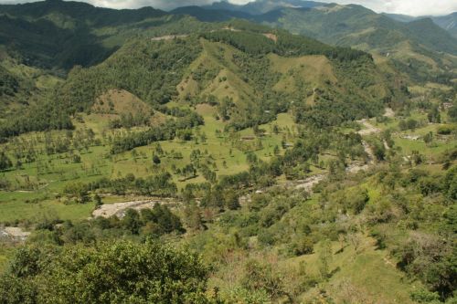 Fotografia de Arte fotografico - Galeria Fotografica: Valle del cocora Quindio, Colombia - Foto: 