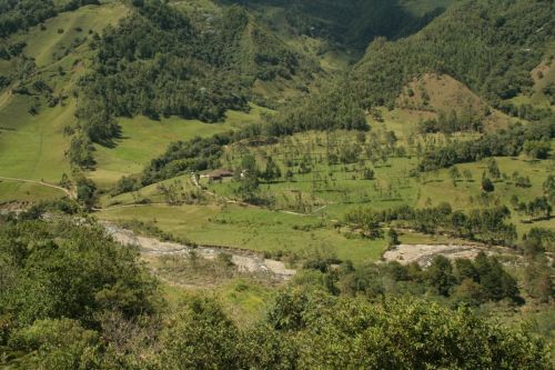 Fotografia de Arte fotografico - Galeria Fotografica: Valle del cocora Quindio, Colombia - Foto: 
