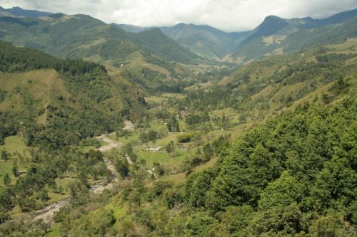 Fotografia de Arte fotografico - Galeria Fotografica: Valle del cocora Quindio, Colombia - Foto: 