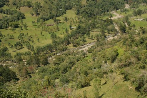 Fotografia de Arte fotografico - Galeria Fotografica: Valle del cocora Quindio, Colombia - Foto: 
