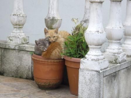 Fotografia de El fotografo loco - Galeria Fotografica: El fotografo loco - Foto: 