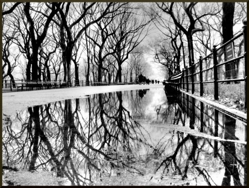 Fotografia de Jorge Builes - Galeria Fotografica: GALERIA - Foto: 