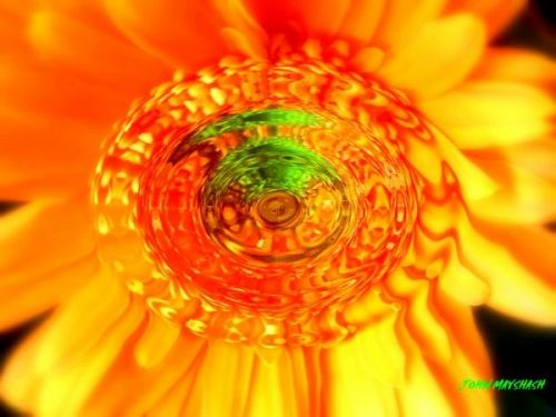 Fotografia de FOTOCLUB JM  IMAGE WEB - Galeria Fotografica: FOTOCLUB JM IMAGE WEB COLOMBIA - Foto: 