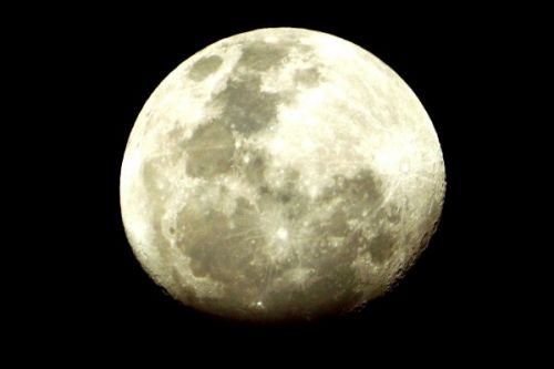 Fotografia de FOTOCLUB JM  IMAGE WEB - Galeria Fotografica: FOTOCLUB JM IMAGE WEB COLOMBIA - Foto: 