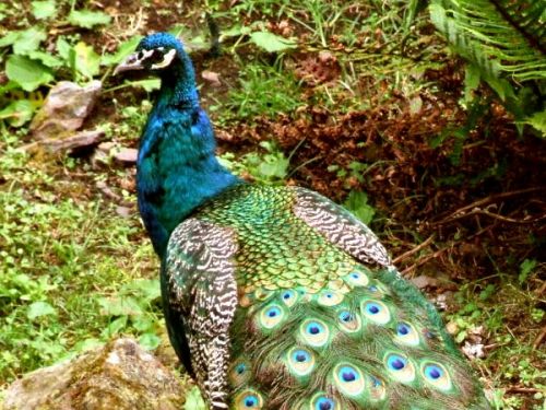 Fotografia de FOTOCLUB JM  IMAGE WEB - Galeria Fotografica: FOTOCLUB JM IMAGE WEB COLOMBIA - Foto: 