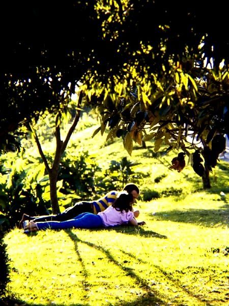 Fotografia de FOTOCLUB JM  IMAGE WEB - Galeria Fotografica: FOTOCLUB JM IMAGE WEB COLOMBIA - Foto: 