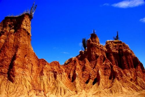 Fotografia de FOTOCLUB JM  IMAGE WEB - Galeria Fotografica: FOTOCLUB JM IMAGE WEB COLOMBIA - Foto: 