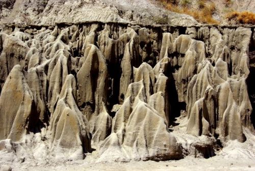 Fotografia de FOTOCLUB JM  IMAGE WEB - Galeria Fotografica: FOTOCLUB JM IMAGE WEB COLOMBIA - Foto: 