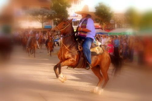 Fotografia de FOTOCLUB JM  IMAGE WEB - Galeria Fotografica: FOTOCLUB JM IMAGE WEB COLOMBIA - Foto: 