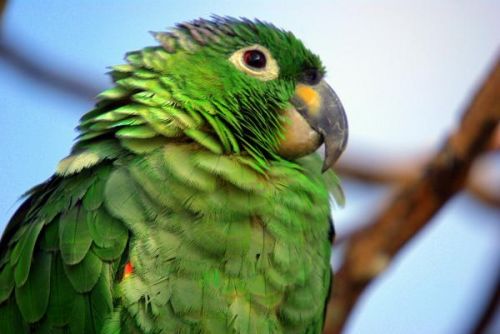 Fotografia de FOTOCLUB JM  IMAGE WEB - Galeria Fotografica: FOTOCLUB JM IMAGE WEB COLOMBIA - Foto: 