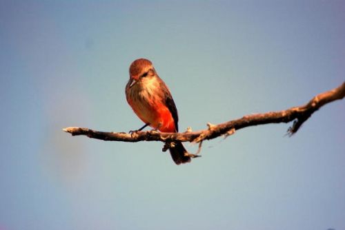 Fotografia de FOTOCLUB JM  IMAGE WEB - Galeria Fotografica: FOTOCLUB JM IMAGE WEB COLOMBIA - Foto: 