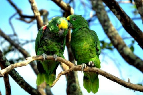 Fotografia de FOTOCLUB JM  IMAGE WEB - Galeria Fotografica: FOTOCLUB JM IMAGE WEB COLOMBIA - Foto: 