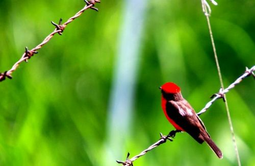 Fotografia de FOTOCLUB JM  IMAGE WEB - Galeria Fotografica: FOTOCLUB JM IMAGE WEB COLOMBIA - Foto: 