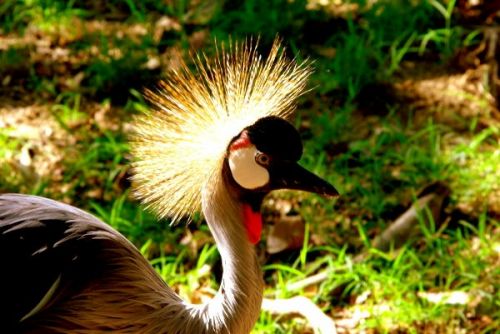 Fotografia de FOTOCLUB JM  IMAGE WEB - Galeria Fotografica: FOTOCLUB JM IMAGE WEB COLOMBIA - Foto: 