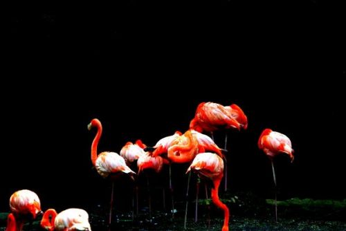 Fotografia de FOTOCLUB JM  IMAGE WEB - Galeria Fotografica: FOTOCLUB JM IMAGE WEB COLOMBIA - Foto: 