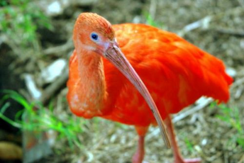 Fotografia de FOTOCLUB JM  IMAGE WEB - Galeria Fotografica: FOTOCLUB JM IMAGE WEB COLOMBIA - Foto: 