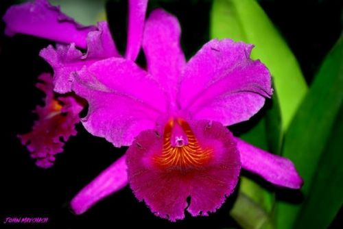 Fotografia de FOTOCLUB JM  IMAGE WEB - Galeria Fotografica: FOTOCLUB JM IMAGE WEB COLOMBIA - Foto: 