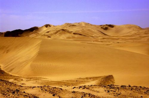 Fotografia de FOTOCLUB JM  IMAGE WEB - Galeria Fotografica: FOTOCLUB JM IMAGE WEB COLOMBIA - Foto: 