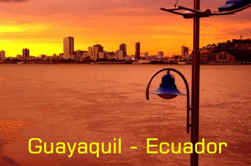 Fotografia de FOTOSNTESIS FOTOTALLERES - Galeria Fotografica: FOTOSNTESIS FOTOTALLERES - COLOMBIA - Foto: 