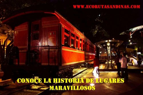 Fotografia de FOTOSNTESIS FOTOTALLERES - Galeria Fotografica: FOTOSNTESIS FOTOTALLERES - COLOMBIA - Foto: 