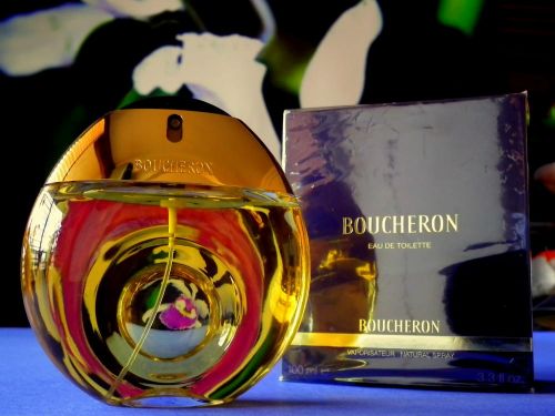 Fotografia de FOTOSNTESIS FOTOTALLERES - Galeria Fotografica: FOTOSNTESIS FOTOTALLERES - COLOMBIA - Foto: 