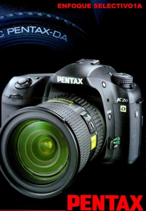 Fotografia de FOTOSNTESIS FOTOTALLERES - Galeria Fotografica: FOTOSNTESIS FOTOTALLERES - COLOMBIA - Foto: 