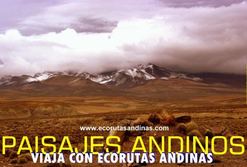 Fotografia de FOTOSNTESIS FOTOTALLERES - Galeria Fotografica: FOTOSNTESIS FOTOTALLERES - COLOMBIA - Foto: 