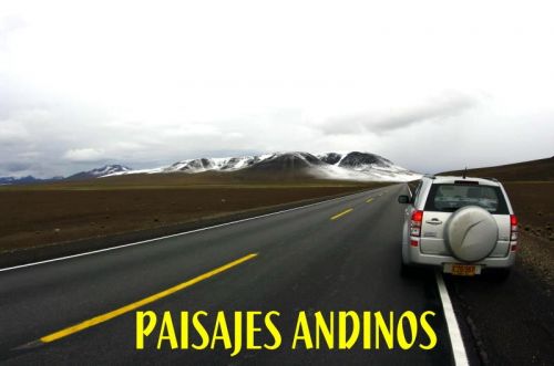 Fotografia de FOTOSNTESIS FOTOTALLERES - Galeria Fotografica: FOTOSNTESIS FOTOTALLERES - COLOMBIA - Foto: 