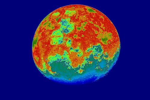 Fotografia de FOTOSNTESIS FOTOTALLERES - Galeria Fotografica: FOTOSNTESIS FOTOTALLERES - COLOMBIA - Foto: 