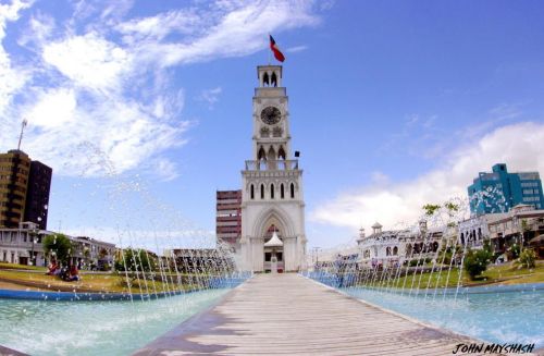 Fotografia de FOTOSNTESIS FOTOTALLERES - Galeria Fotografica: FOTOSNTESIS FOTOTALLERES - COLOMBIA - Foto: 