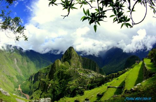 Fotografia de FOTOSNTESIS FOTOTALLERES - Galeria Fotografica: FOTOSNTESIS FOTOTALLERES - COLOMBIA - Foto: 