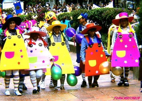 Fotografia de FOTOSNTESIS FOTOTALLERES - Galeria Fotografica: FOTOSNTESIS FOTOTALLERES - COLOMBIA - Foto: 