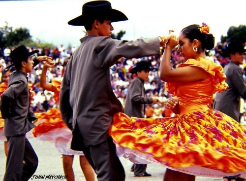 Fotografia de FOTOSNTESIS FOTOTALLERES - Galeria Fotografica: FOTOSNTESIS FOTOTALLERES - COLOMBIA - Foto: 